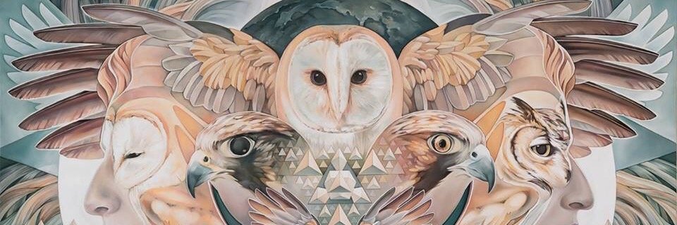 rumodoamor's profile banner image