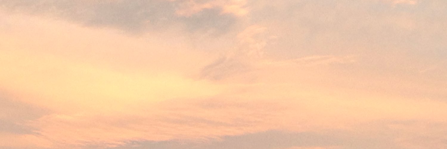 lizzero1's profile banner image