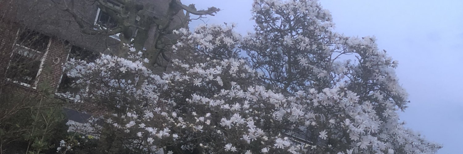 Marco van Beek banner