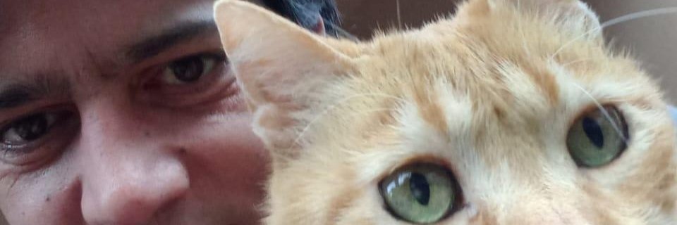 chamadosamba's profile banner image