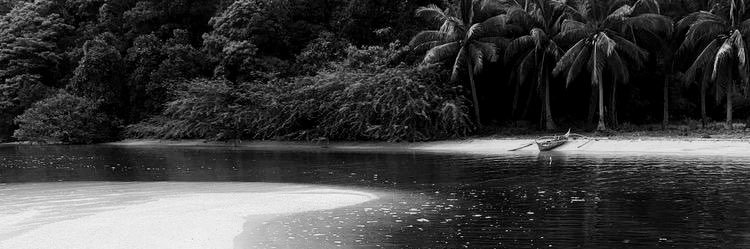 ray. banner