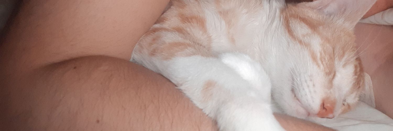 DaaiBoses's profile banner image