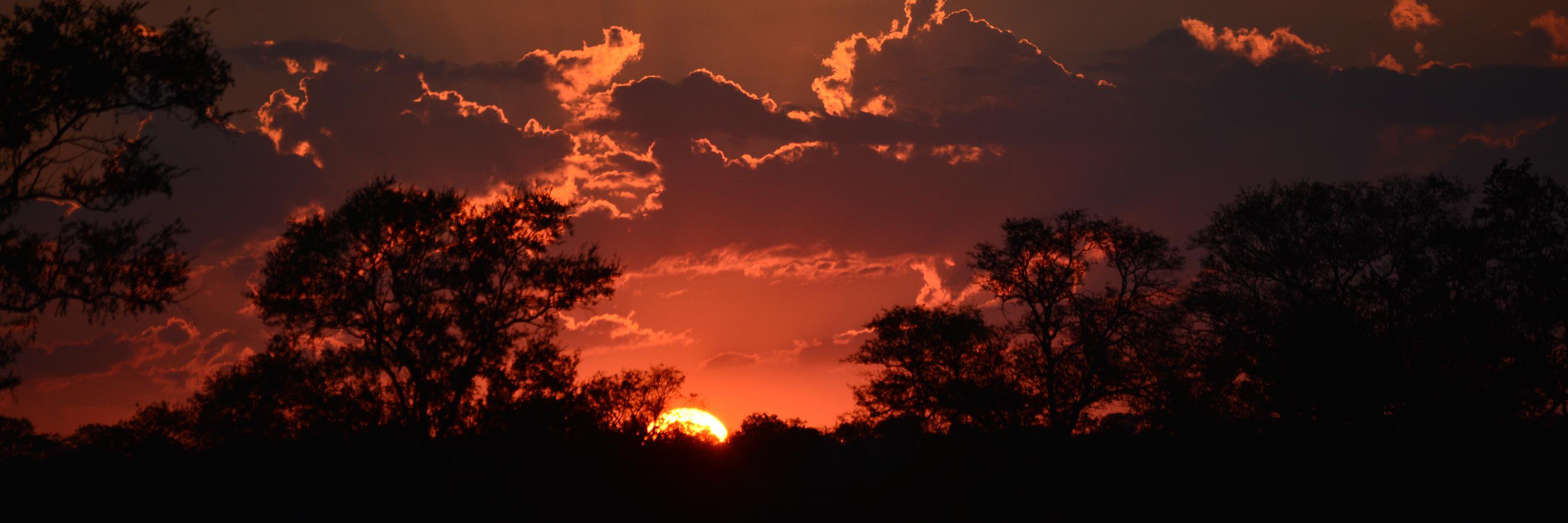E_Coetzer's profile banner image