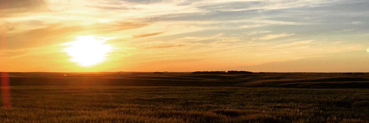 AllieMarks's profile banner image