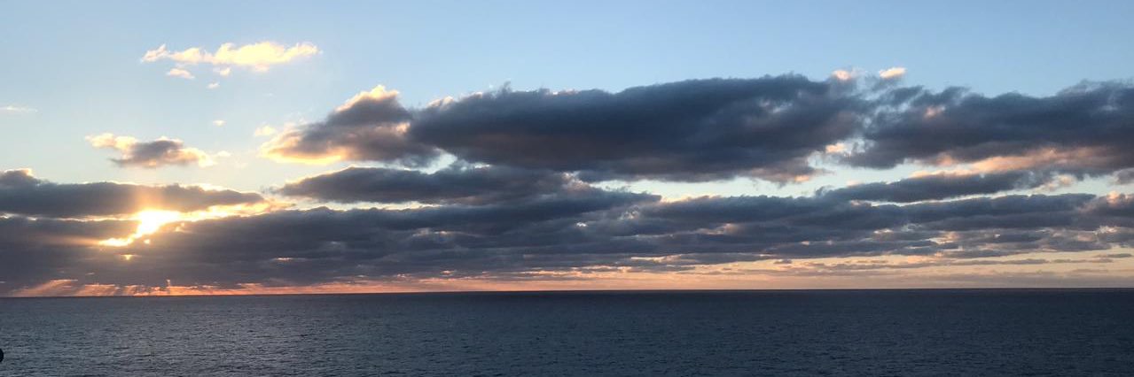 SofiSantilli's profile banner image