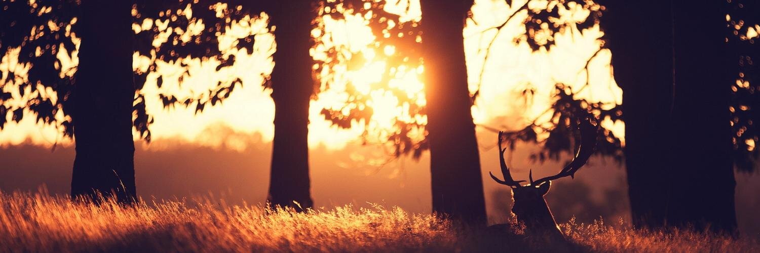 PaulsFoo's profile banner image