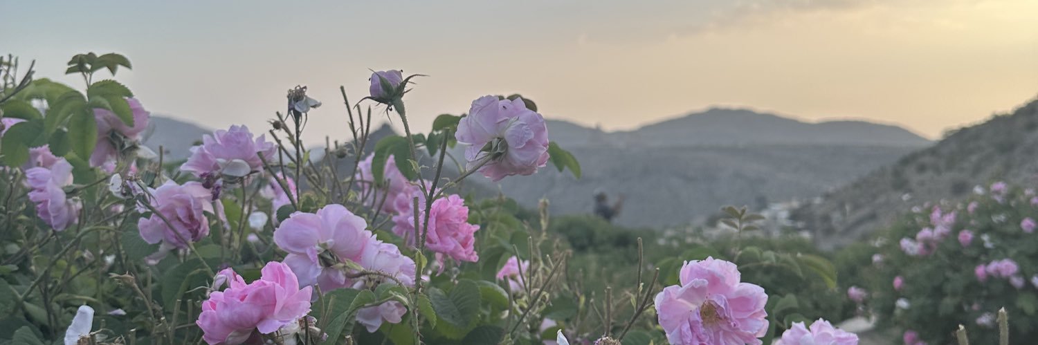 therealnasserom's profile banner image