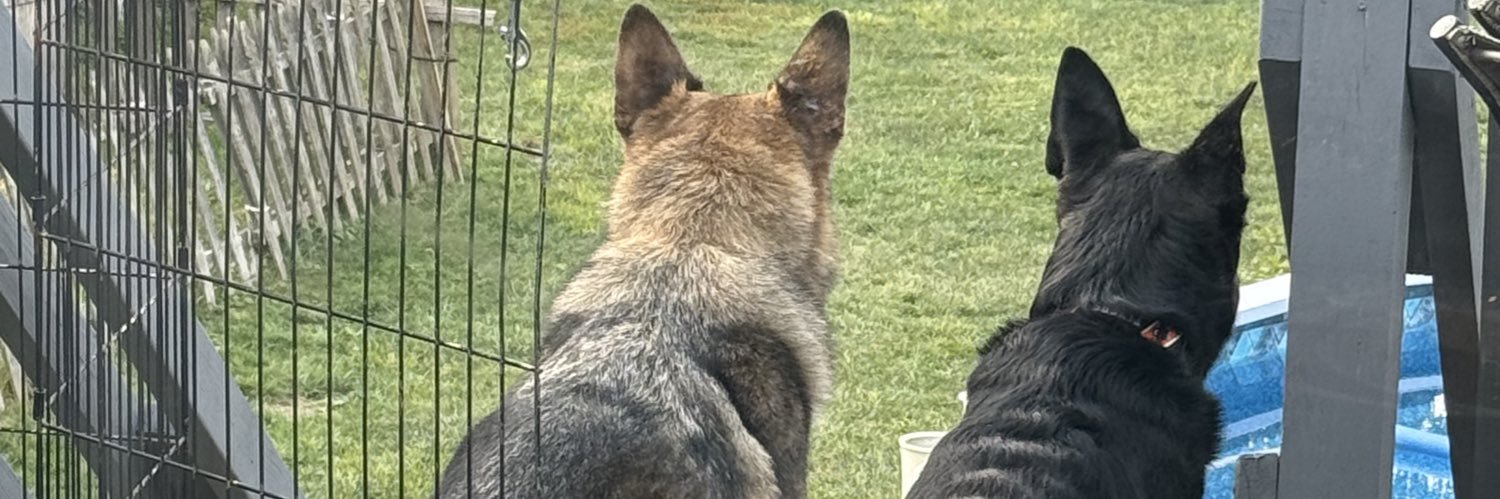 Anthony Razzi banner