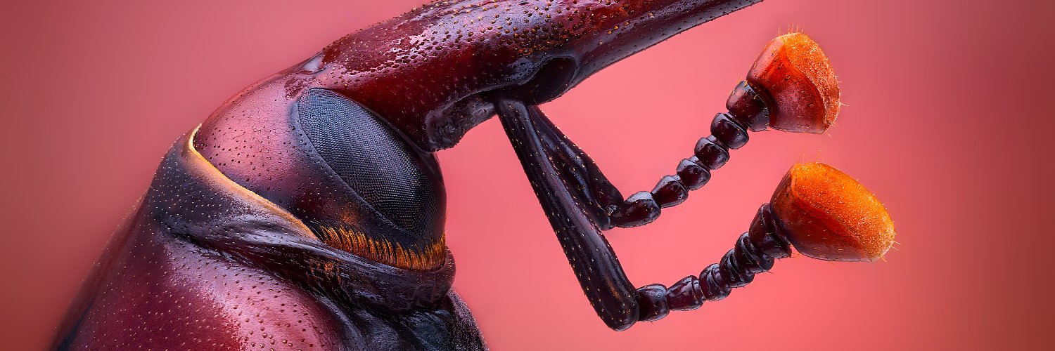 quenoteam's profile banner image