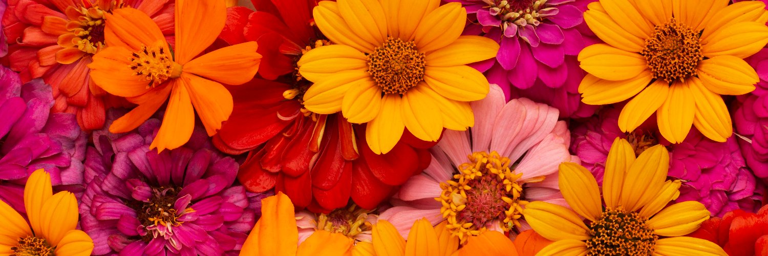 wen_ec's profile banner image