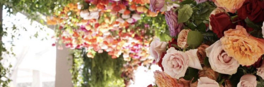 Hair So Niche banner