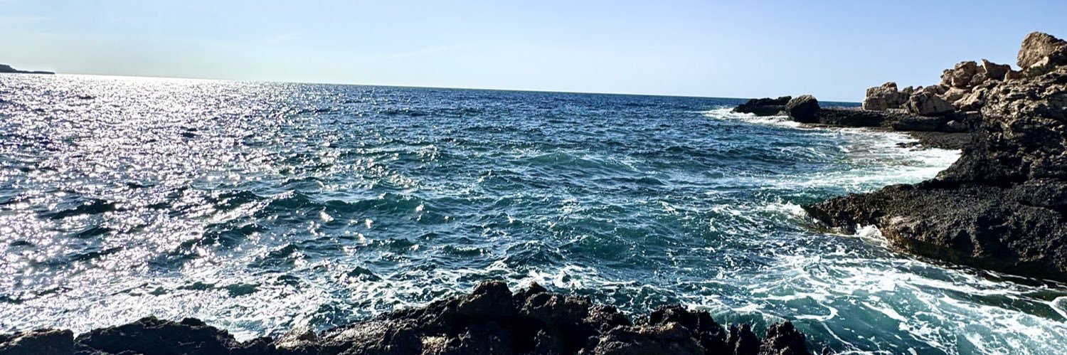 Marcelo Da Corte banner