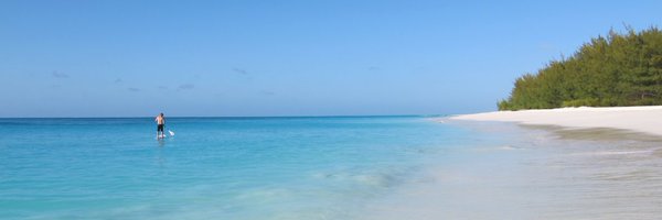 ScubaRoss Profile Banner