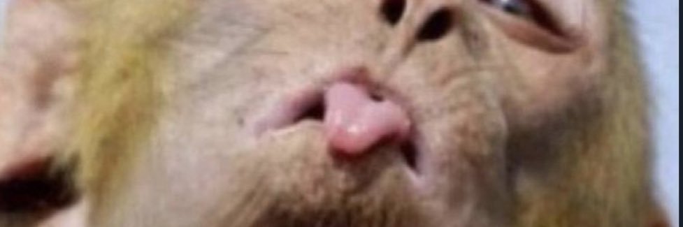Xx_Modern's profile banner image