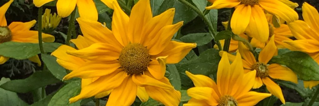 brennarenee_'s profile banner image