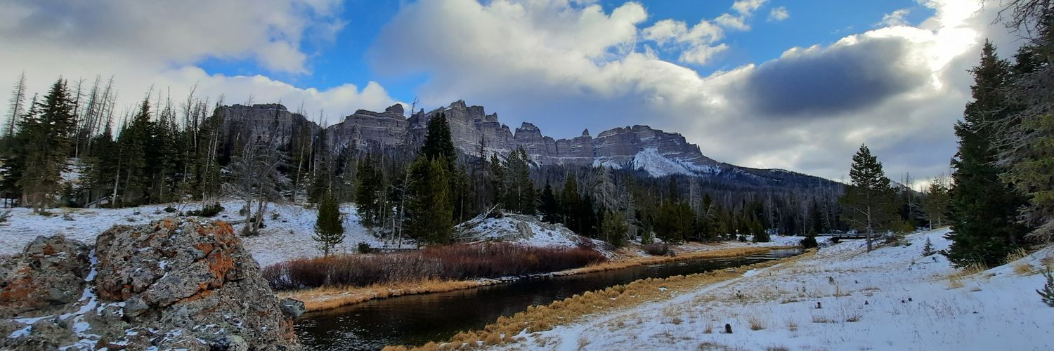 Michael D. Greene banner