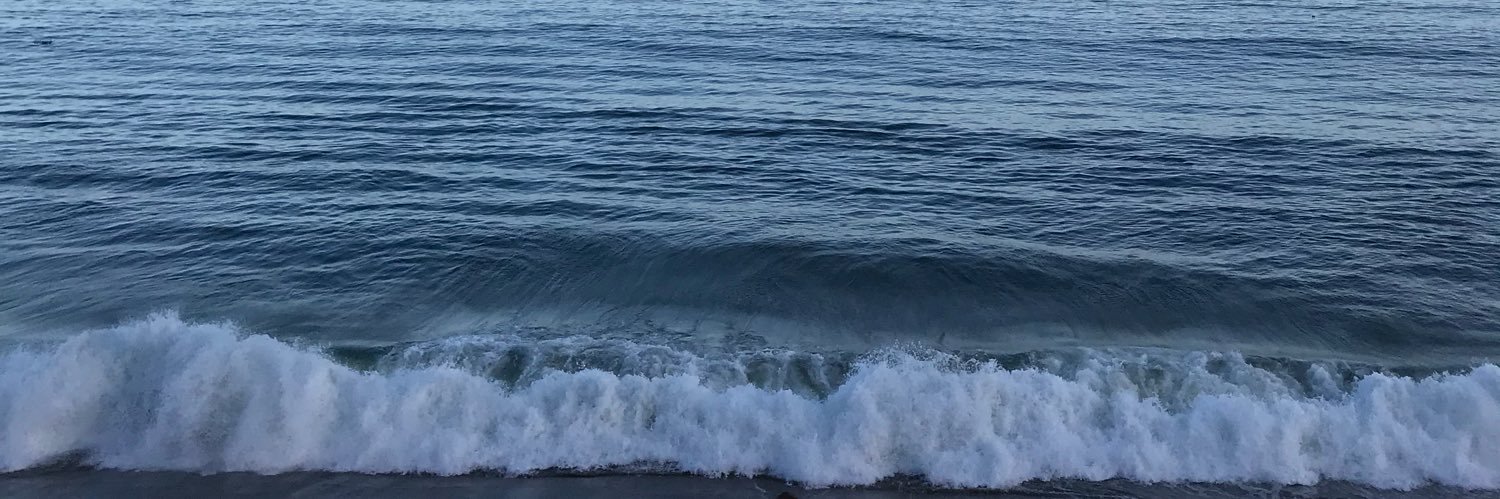 rhoxy's profile banner image