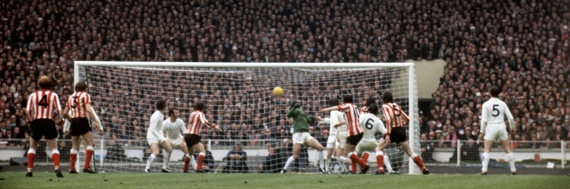 newts1985's profile banner image