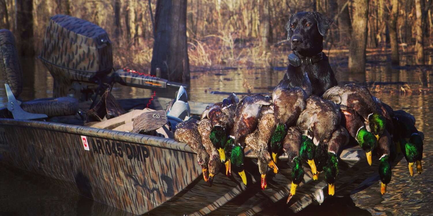 XpressBoats's profile banner image