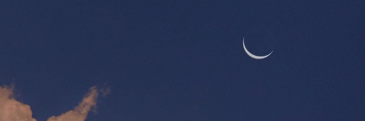 polianasachi's profile banner image