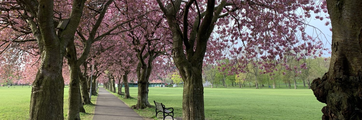 Hilary Snaith banner