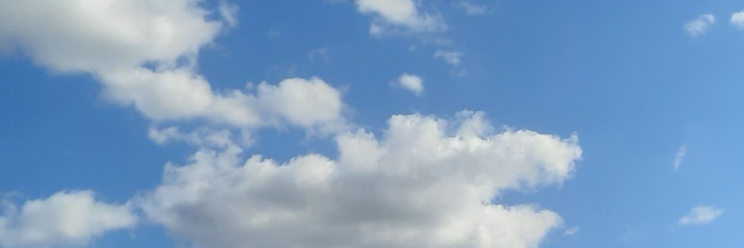 aripessina's profile banner image
