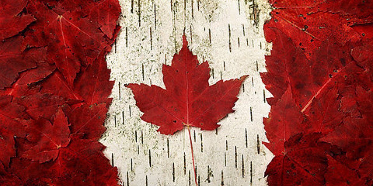 Sheldon Peddle banner