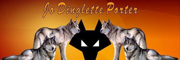 jodinglette's profile banner image