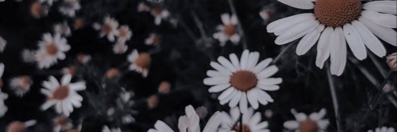 Trin_Maxwell's profile banner image