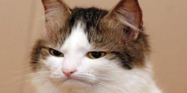EmmaKeegan__'s profile banner image
