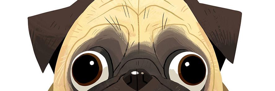 Mutt Mad (@muttmaddotcom) / Posts / X