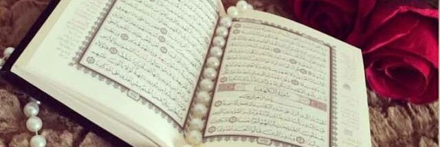 malam_Bahaushe's profile banner image