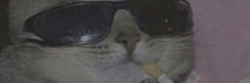 bluestdaisy's profile banner image