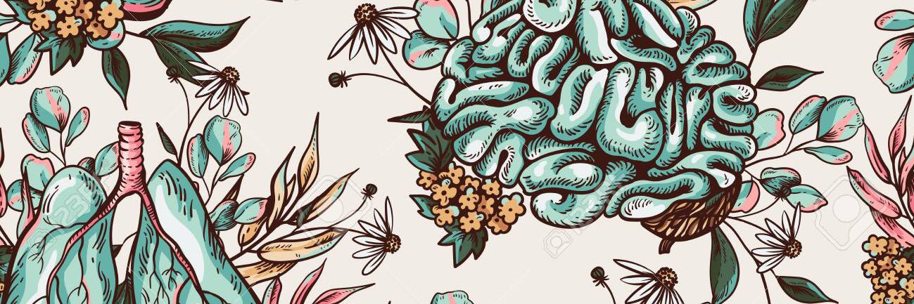 hannahmlines's profile banner image