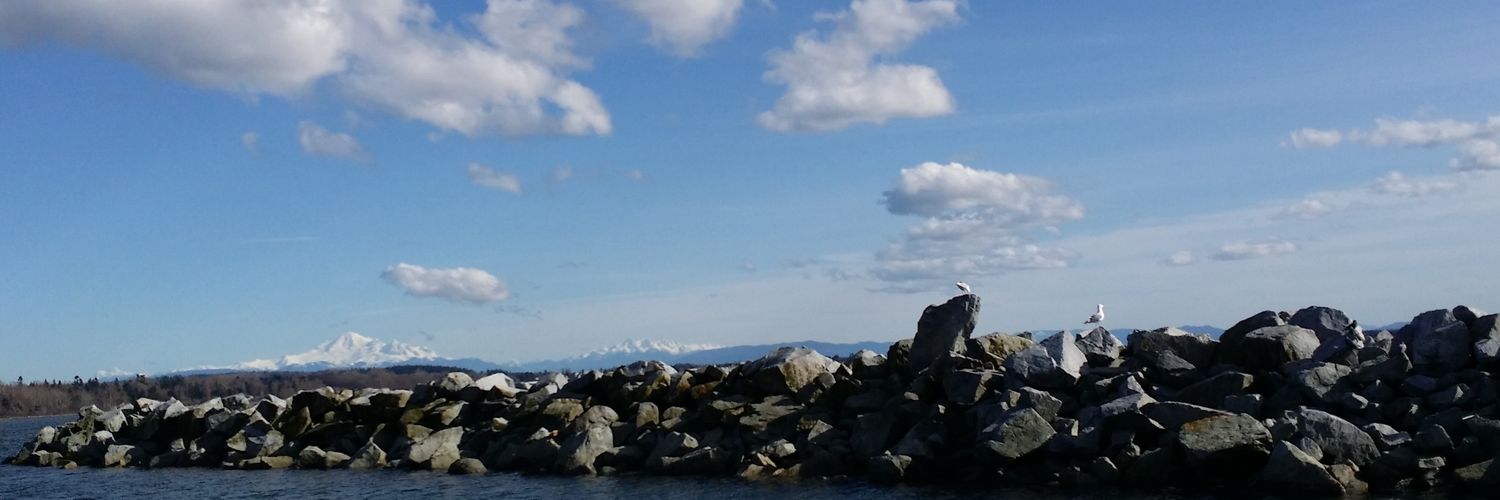 MsDalj's profile banner image