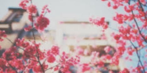 BABYkaaaay_'s profile banner image