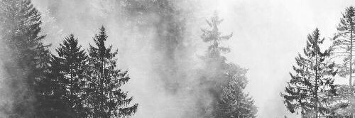 stres prinses banner