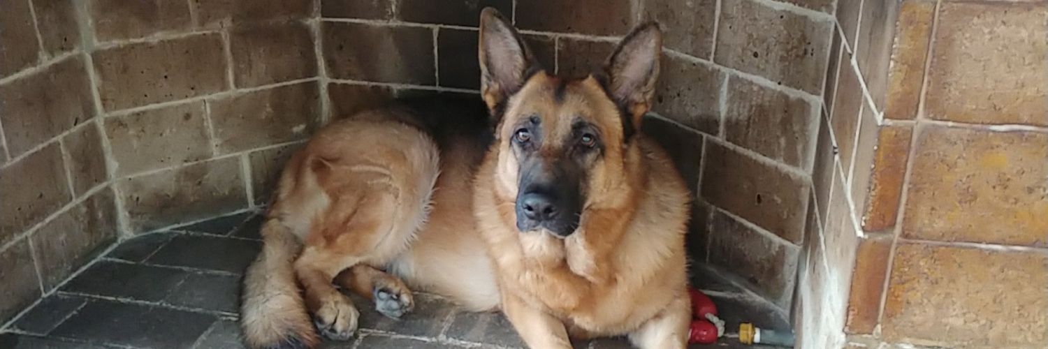 joamuleiro's profile banner image