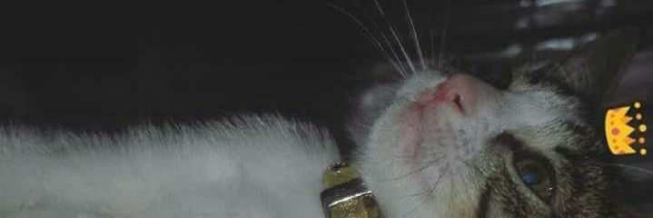 Beltran0_'s profile banner image