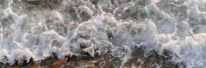 f_995l's profile banner image