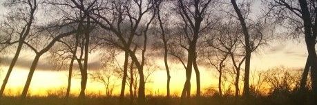 j_manning55's profile banner image