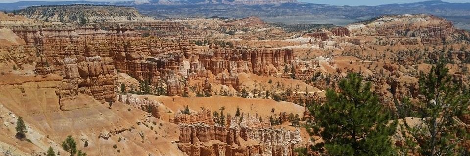 KatherineLPrice's profile banner image
