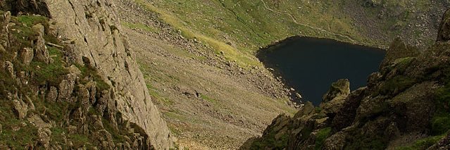 Mark banner