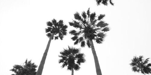 QLIAM's profile banner image