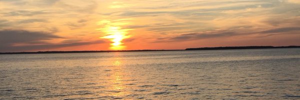 Hayzee11 Profile Banner