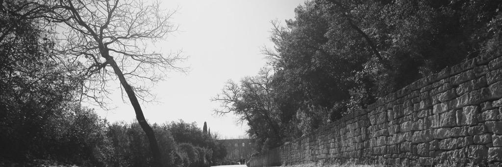CLOPORTE's profile banner image