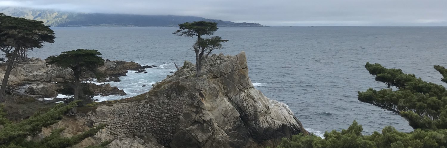RyleeSuttor's profile banner image