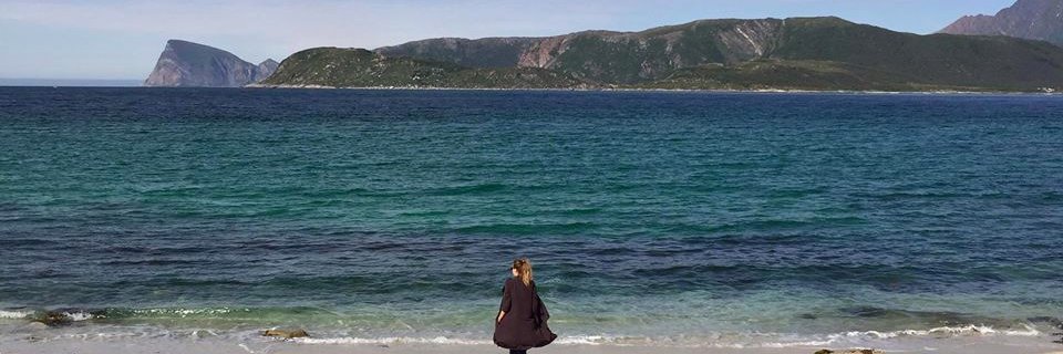 LMKotti's profile banner image