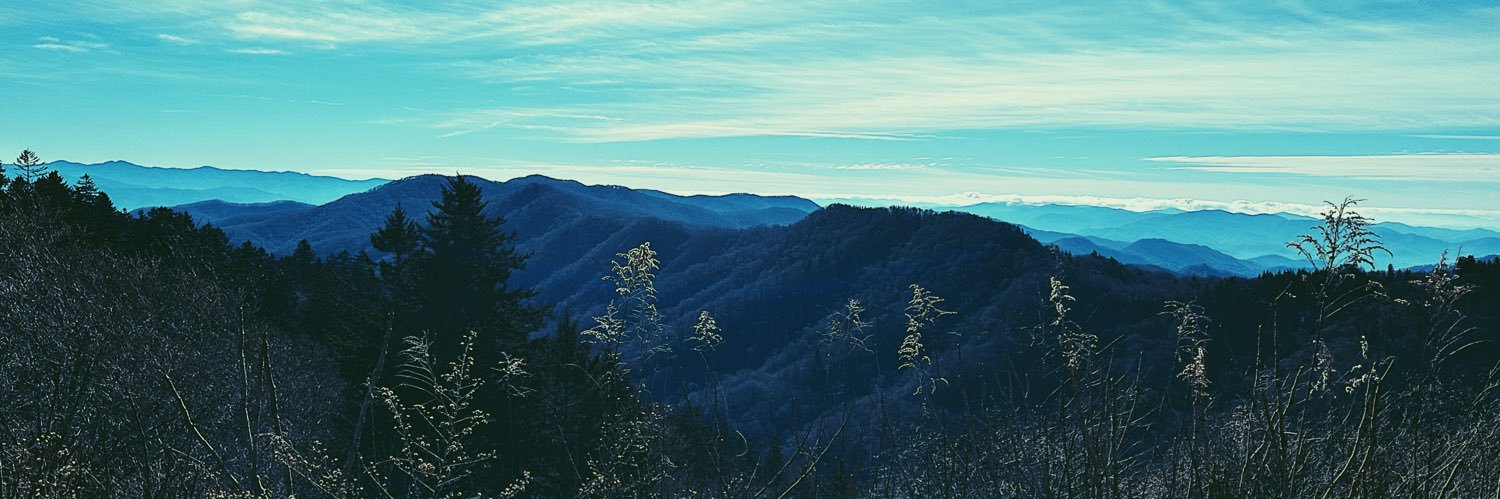 carlymccomas's profile banner image