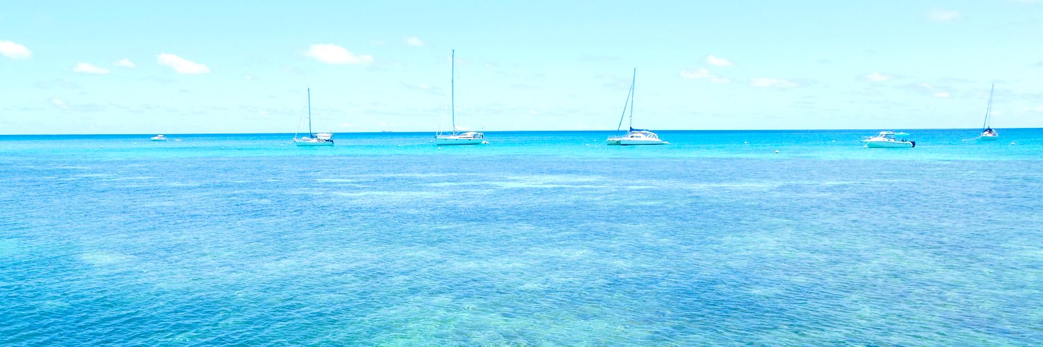 chiikolm's profile banner image